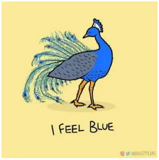 🦚