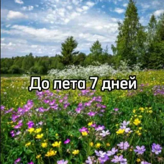 ☀️
