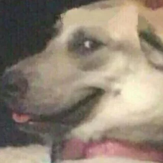 😏