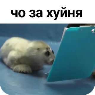 😰