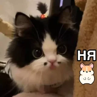😍