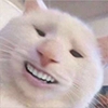 CriNgE AniMaLs