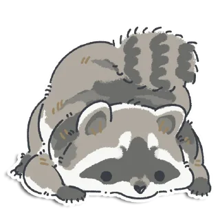 🦝