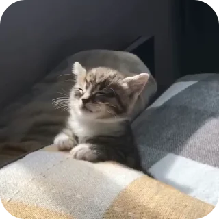 😴