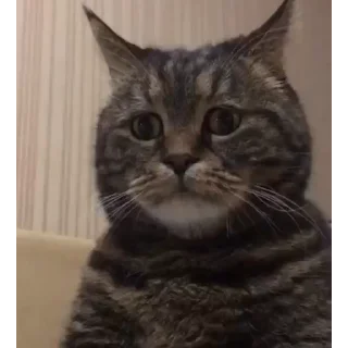 😞