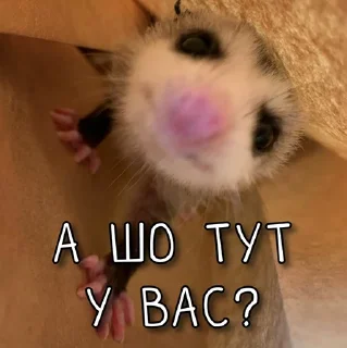 👀