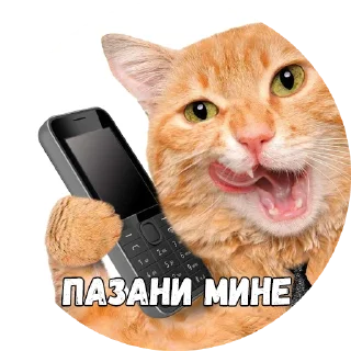 ☎️