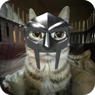 😼