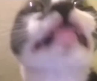 🥸