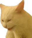 Stupid stickers