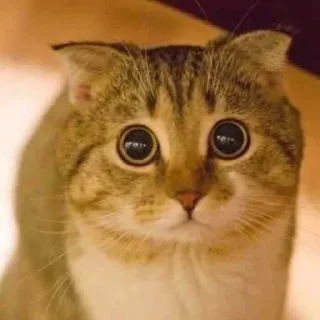 😥