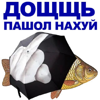🐠