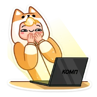 💻
