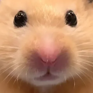 😳
