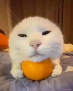 😌
