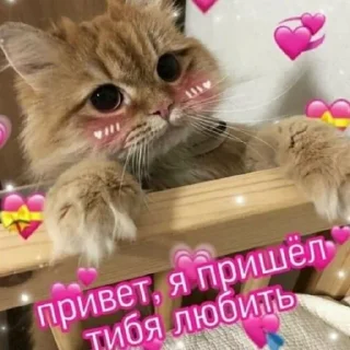 🥺