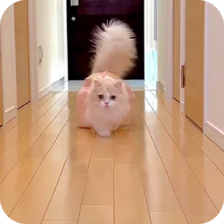 😍