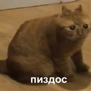😫