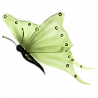 🦋