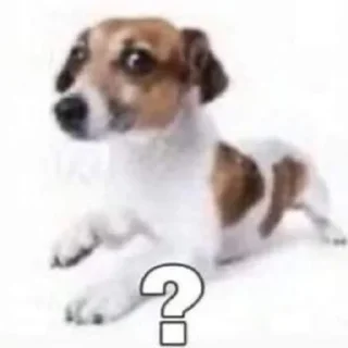 🤭
