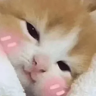 😊