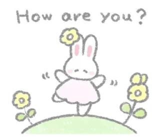 🐰
