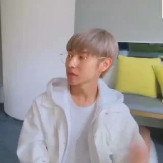 🦊