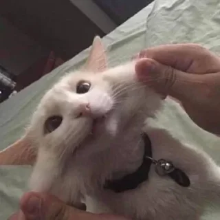 😑