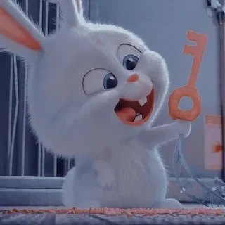 🐰