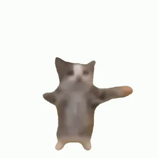 💃