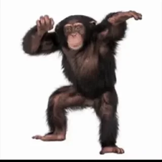 🐒