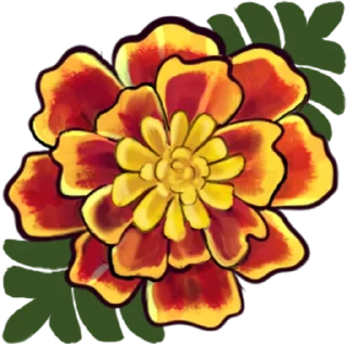 🌼