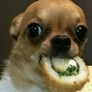 🤩
