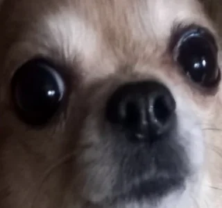 👀
