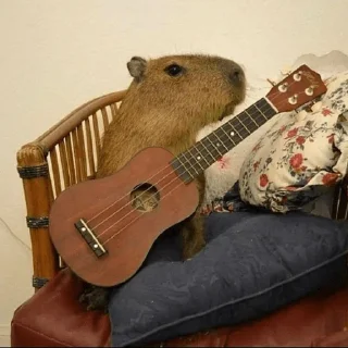 🎸