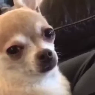 🥺