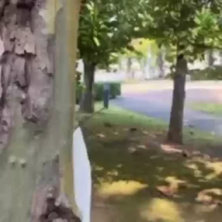 ☺
