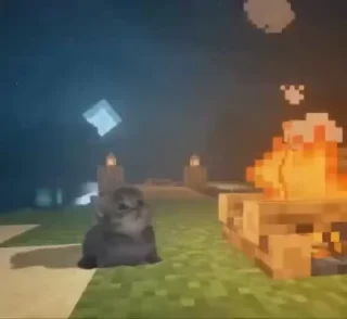 🌟