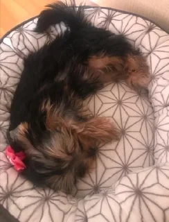 😴