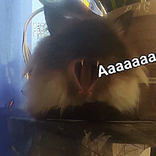 😱