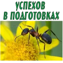 🐜