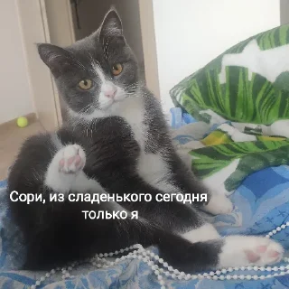 💥