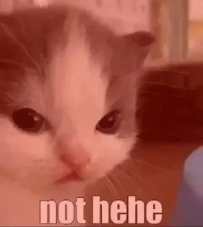 😡