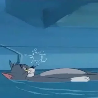 🌊