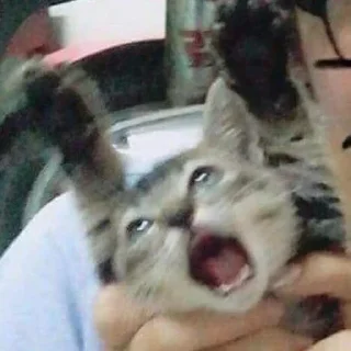 😱
