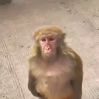🤩