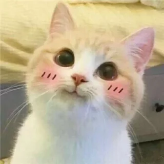 🥺