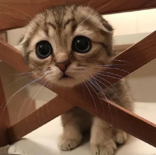 😍