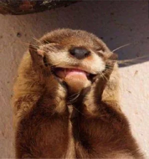😊