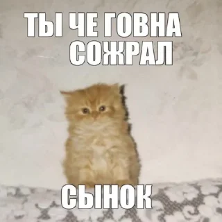 😚